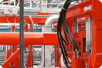 plant components